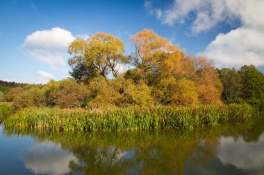 Gölde altın sonbahar.