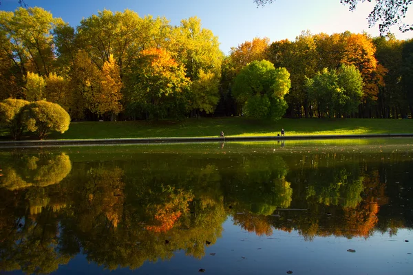 Otoño dorado en el lago . —  Fotos de Stock