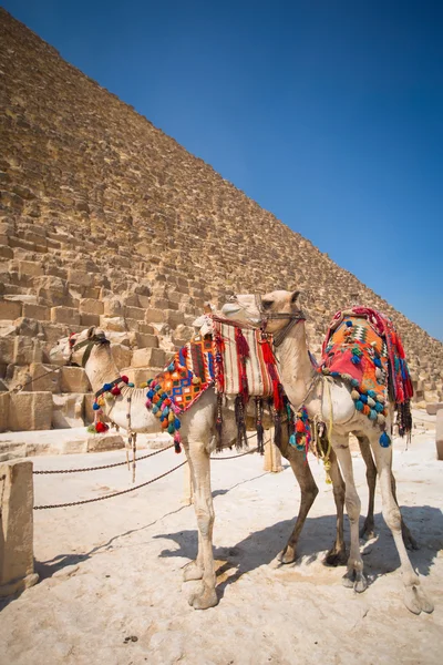 Pyramiden der Pharaonen in Giza — Stockfoto