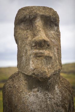 Ahu Tongariki, Moais