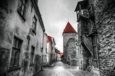 Tallinn Fotoğraflar