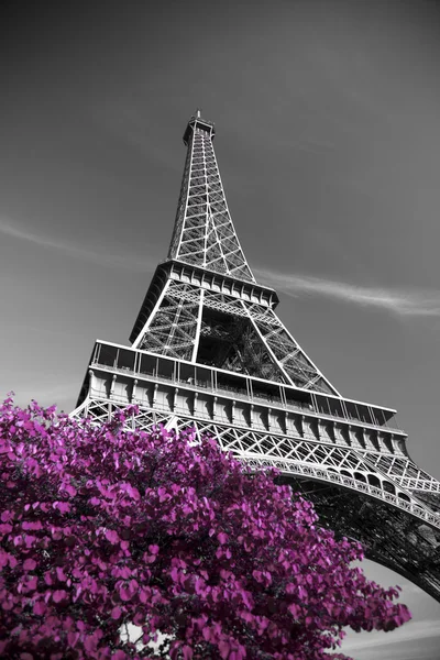 적외선 사진 에펠 탑 — 스톡 사진