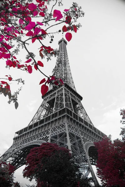 Інфрачервоної фотографії Ейфелева вежа — стокове фото