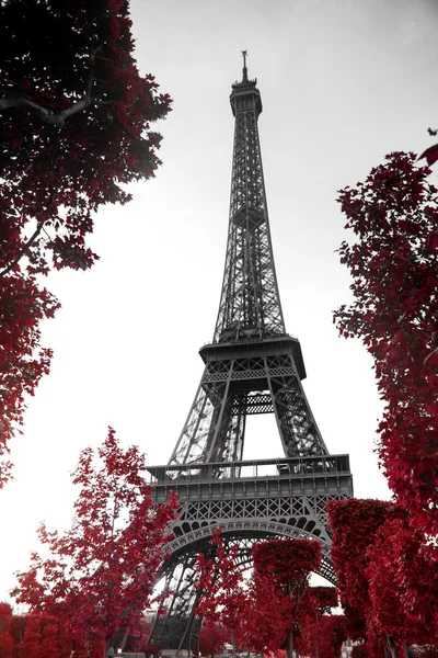 Infrarood fotografie Eiffel Tower — Stockfoto