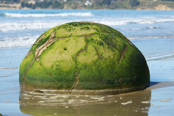 Moeraki boulders in New Zealand — Stock Photo, Image