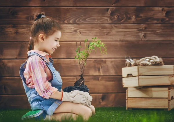 Dívka se stará o rostliny — Stock fotografie