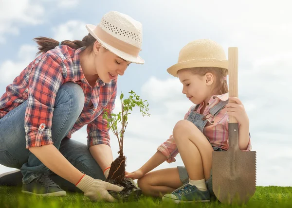 Flicka plantera planta träd — Stockfoto