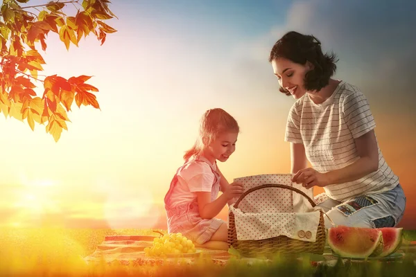 Birlikte piknik aile — Stok fotoğraf