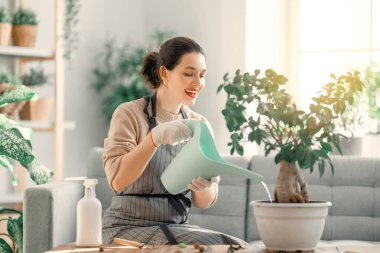 Bahar günü evde bitkilerle ilgilenen bir kadın..