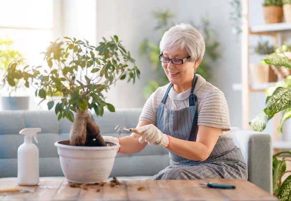 Žena Pečující Rostliny Doma Jaře — Stock fotografie