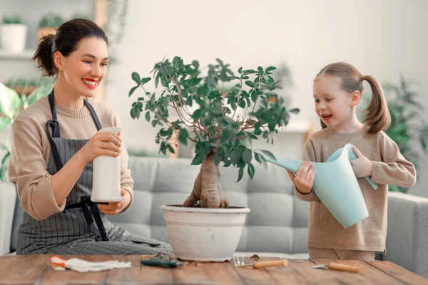 Menina Bonito Ajudando Sua Mãe Cuidar Plantas Mamãe Sua Filha — Fotografia de Stock