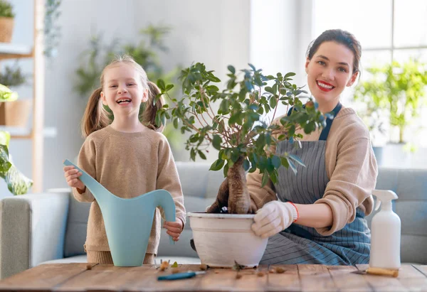 可爱的小女孩帮助她的母亲照看植物 妈妈和她的女儿在家从事园艺工作 春日快乐的家庭 — 图库照片