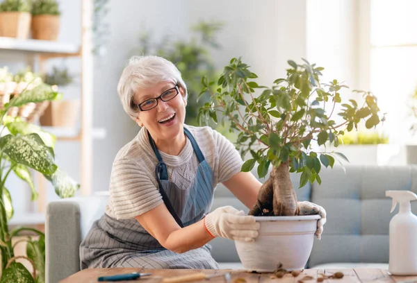 Mujer Cuidando Plantas Casa Día Primavera —  Fotos de Stock
