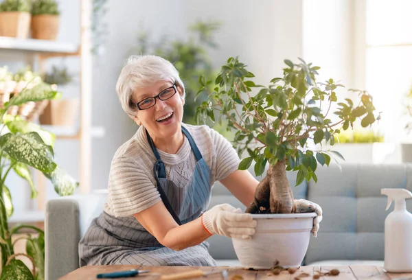 Frau Pflegt Pflanzen Frühlingstag Hause — Stockfoto