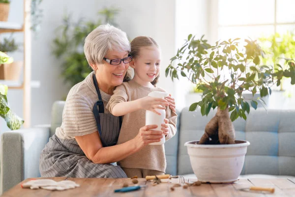 Söt Flicka Som Hjälper Sin Mormor Att Hand Växter Mormor — Stockfoto