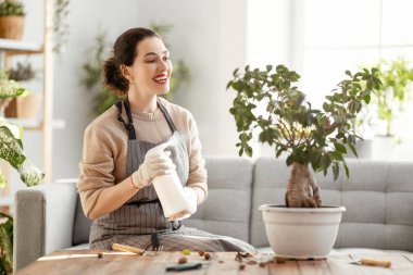 Bahar günü evde bitkilerle ilgilenen bir kadın..