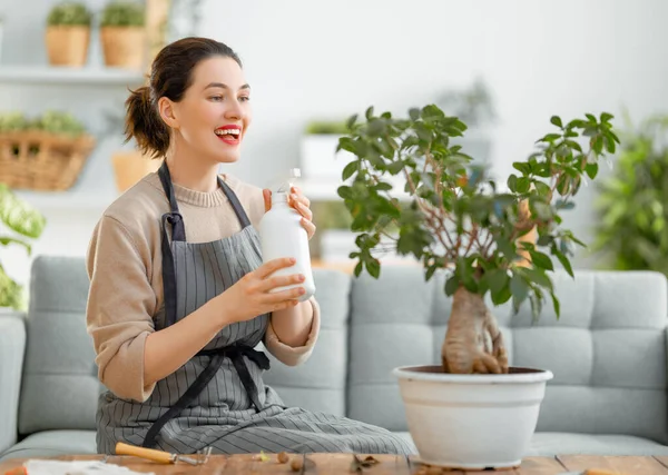 Vrouw Die Thuis Voor Planten Zorgt Het Voorjaar — Stockfoto