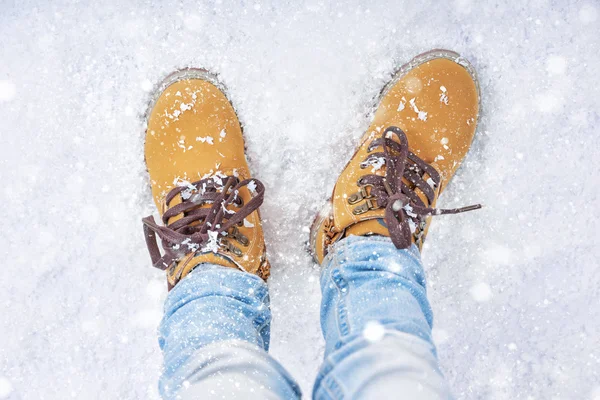 Spacer w śniegu — Zdjęcie stockowe