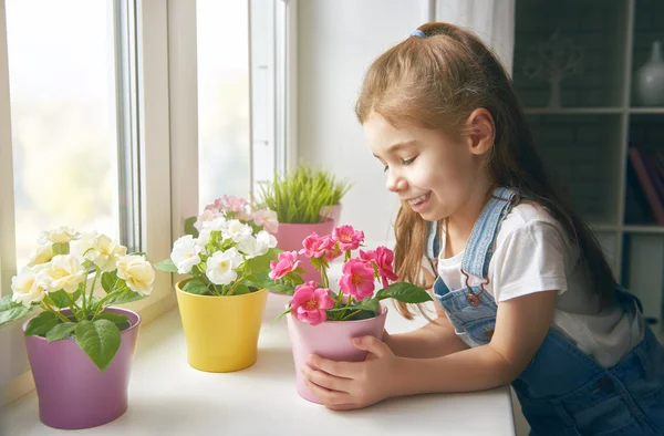 Menina coloca flores — Fotografia de Stock