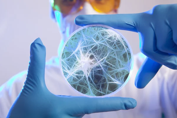 Cientista segurando células de vírus — Fotografia de Stock