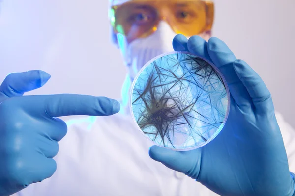 Cientista segurando células de vírus — Fotografia de Stock