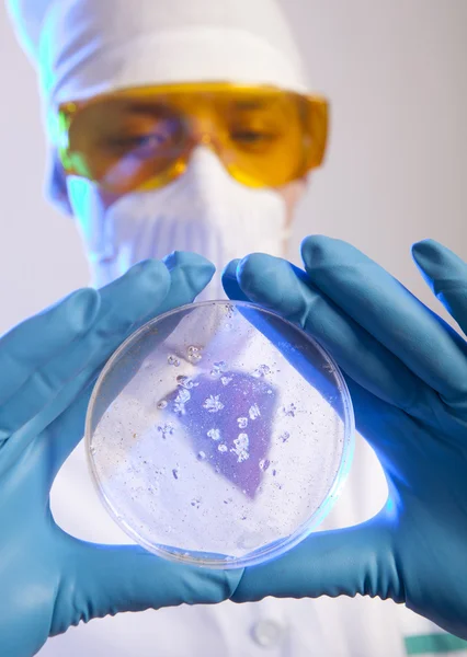 Cientista segurando células de vírus — Fotografia de Stock