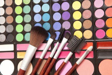 Makyaj ve makyaj fırçaları