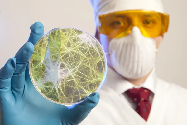 Вчений тримає вірусні клітини — стокове фото