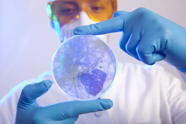 Вчений тримає вірусні клітини — стокове фото