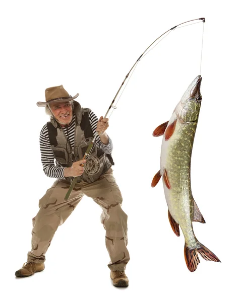 Pescador sénior com peixes grandes - Pique (Esox Lucius) isolado — Fotografia de Stock