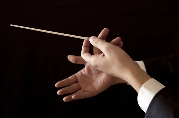 Music male director holding stick — Stock Photo, Image