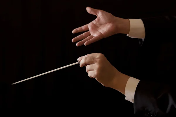 Music male director holding stick — Stock Photo, Image