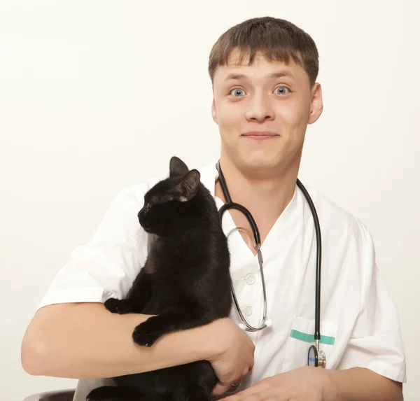 Veterinarian surgeon doctor and cat — Stock Photo, Image