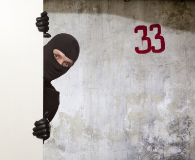 Hırsız, Ninja