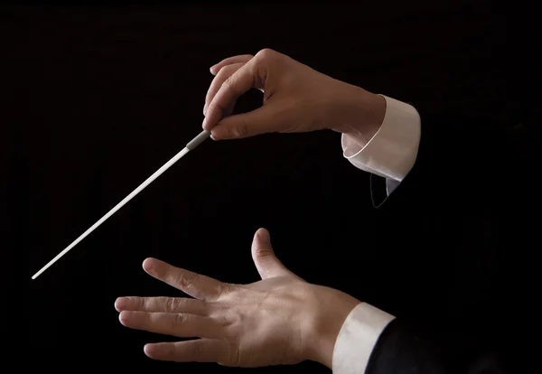 Music male director holding stick — Stock Photo, Image