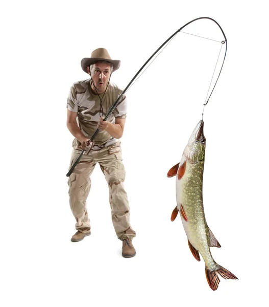 Pescador con peces grandes - Lucioperca —  Fotos de Stock