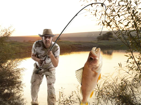 Perca. Hombre pescando —  Fotos de Stock