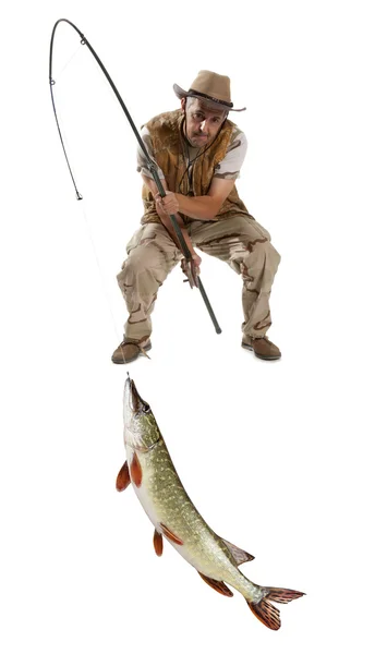 Pescador con peces grandes - Lucioperca —  Fotos de Stock