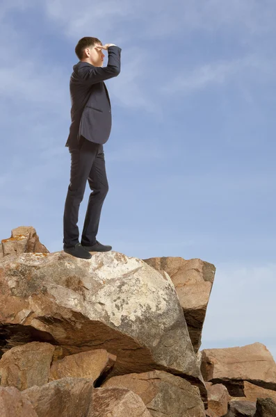 Zakenman kijken naar het landschap — Stockfoto