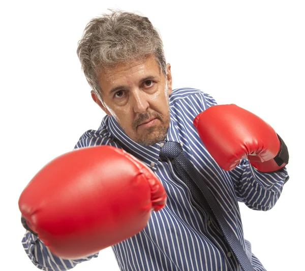 Businessman in red boxing gloves — Stock Photo, Image