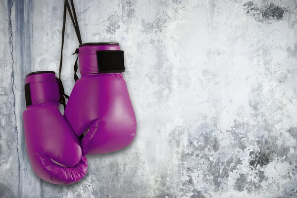Coppia di guanti da boxe viola — Foto Stock