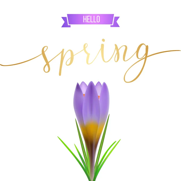 Hej våren kort — Stock vektor