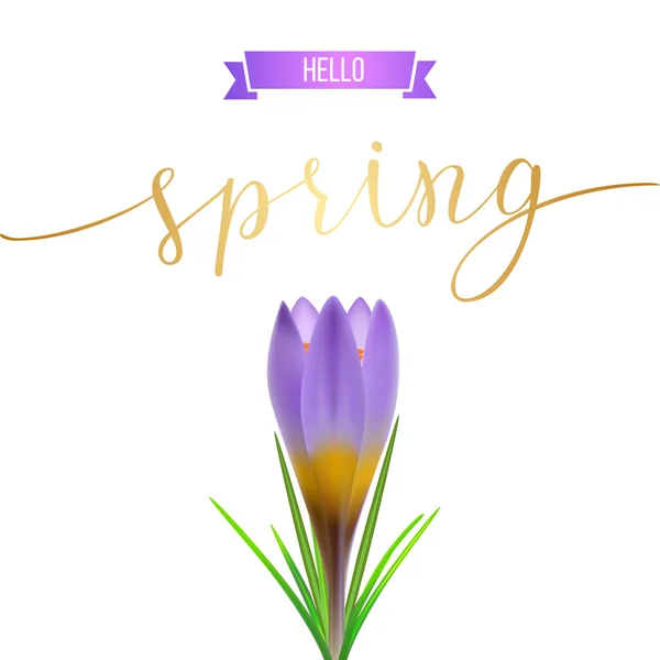 Hallo Spring Card — Stockvektor