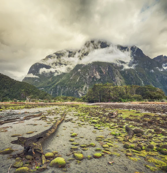 Milford Sound. Nový Zéland — Stock fotografie