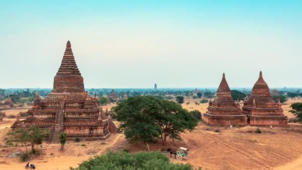 Amanecer de Bagan timelapse — Vídeo de stock