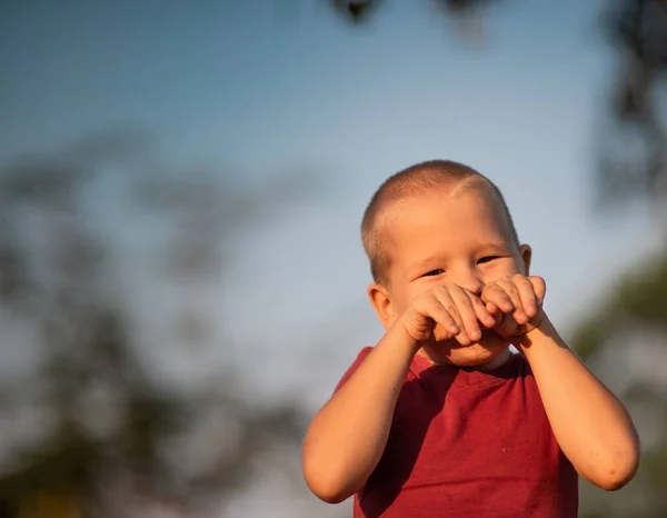 Outdoor Portrait Cute Little Smiling Boy — Stock Photo, Image