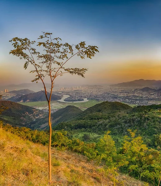 Vista Del Atardecer Ciudad Nha Trang Desde Montaña Árbol Primer — Foto de Stock