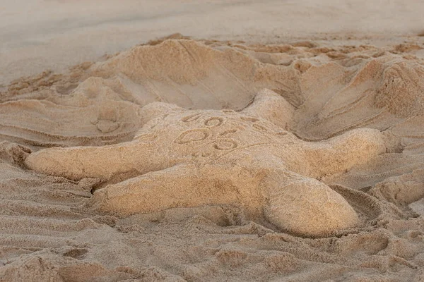 沙滩上一只乌龟的沙雕 — 图库照片