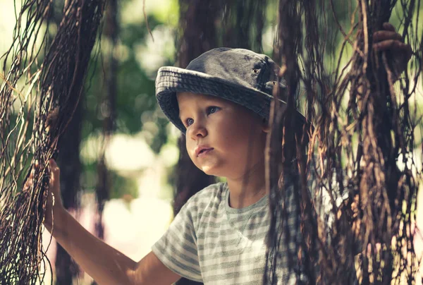 Boy Having Fun Lake Banyan Tree — Stock Photo, Image
