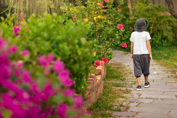 Vue Arrière Garçon Marchant Dans Jardin Tropical — Photo